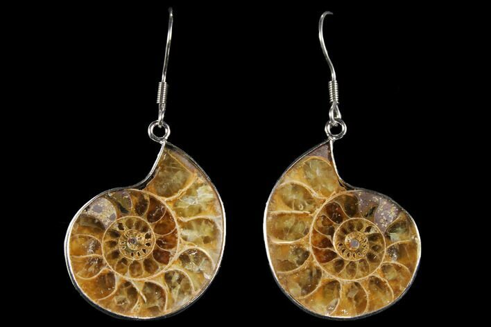 Fossil Ammonite Earrings - Million Years Old #112218
